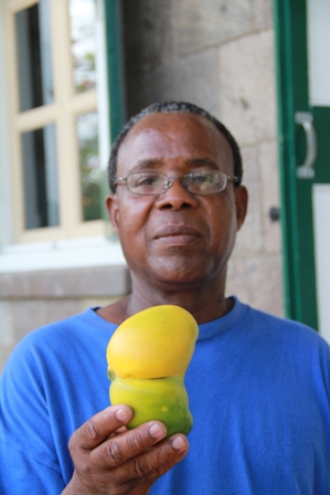 Sixty-one year old retiree of Ramsbury Mr. Joseph Woolward shares his find of a twinned Amory Polly mango he says is a rear occurrence